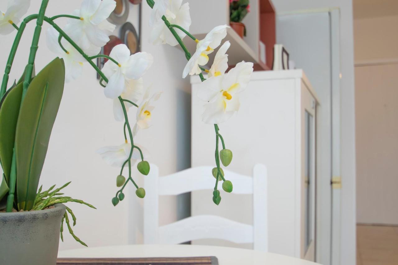 Appartamento Luminoso Y Acoger Loft, Excelente Ubicacion *